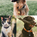 Dog Tag For Pets Personalized Star Shaped Collar Custom Name Phone Number Tag Pet ID Tag Gold Star Free Split Ring