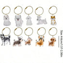 Transparent Dog Hair Storage Container Adorable Pet Keepsake Capsule Pendant With Key Ring for Pet Lovers DIY Memorial Keychain