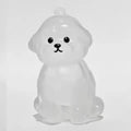 Transparent Dog Hair Storage Container Adorable Pet Keepsake Capsule Pendant With Key Ring for Pet Lovers DIY Memorial Keychain