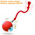 New Cat Interactive Ball Toy Automatic Rolling Cat Ball Rechargeable Smart Kitten Interactive Toy Intelligent Balls Toy for Cat