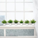 Artificial Bonsai Plant in Pot for Home Decor