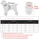 Soft Cozy Cat Clothes Autumn Winter Warm Fleece Sweatshirt for Small Dogs Puppy Kitten Jacket Coat Pet Sphynx Costume Sweater