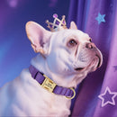 Personalized Dog Collar Waterproof Nylon Dog Collars Soft Padded Pet Necklace Free Engraved for Small Medium Large Dogs Pitbull