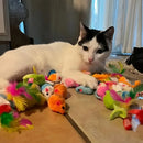 56pcs/28pcs/14pcs Cat Toys Mixed Pack. A Combination of Various Plastic Toys and Plush Toys Suitable for Multiple Cats To Play